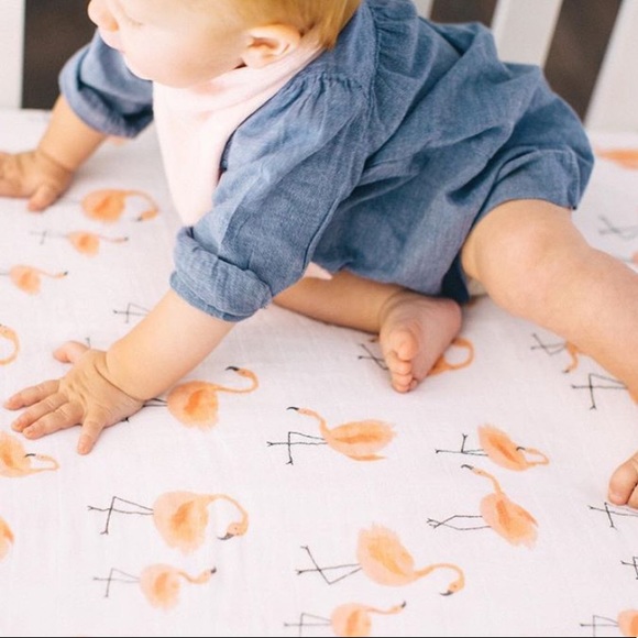 Anthropologie Other - Flamingo swaddle 🦩